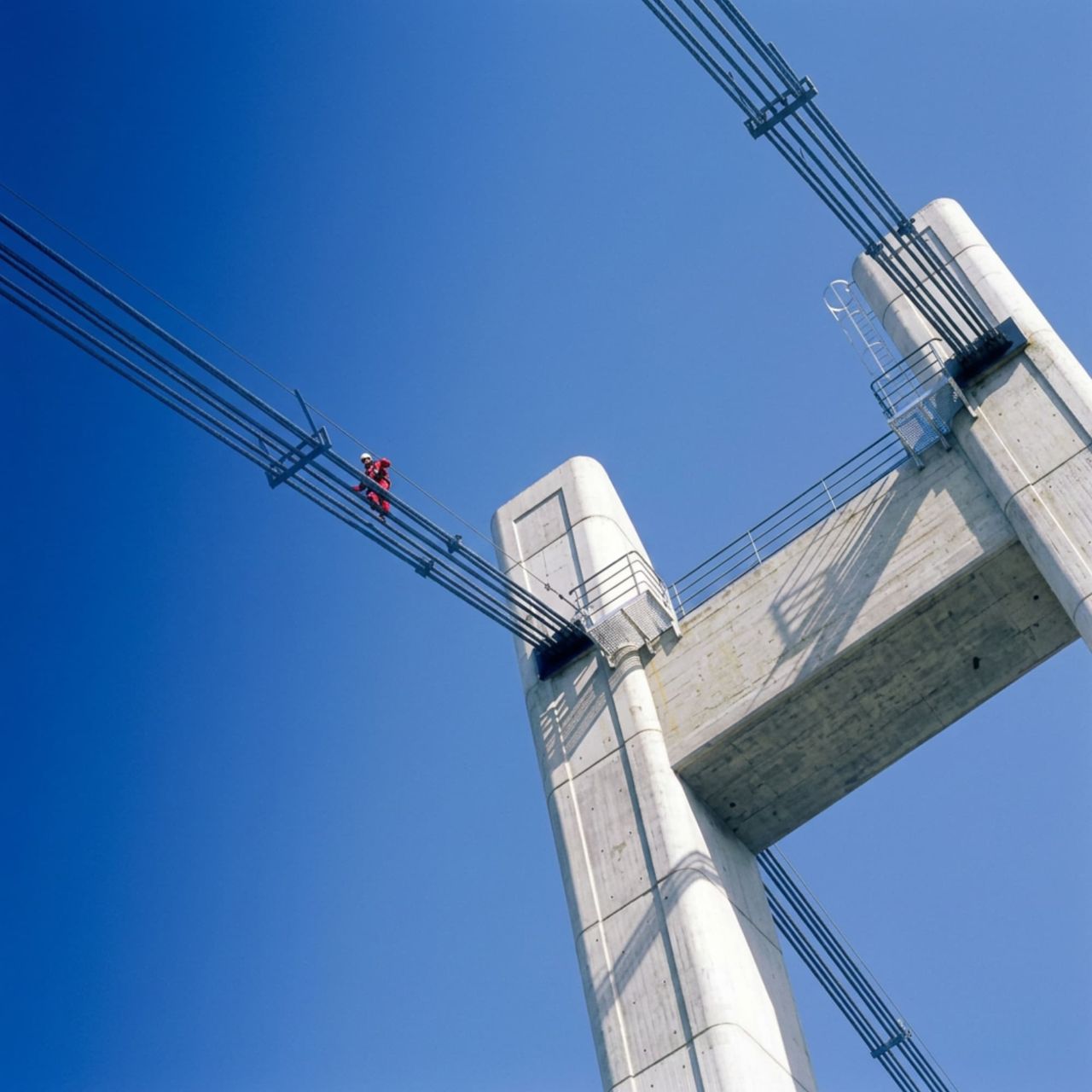 Bridge fall arrest systems